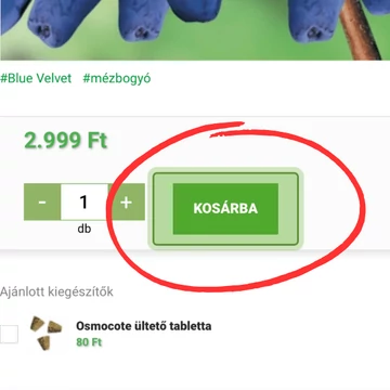 Pulzáló Kosár gomb Unas áruház esetén 